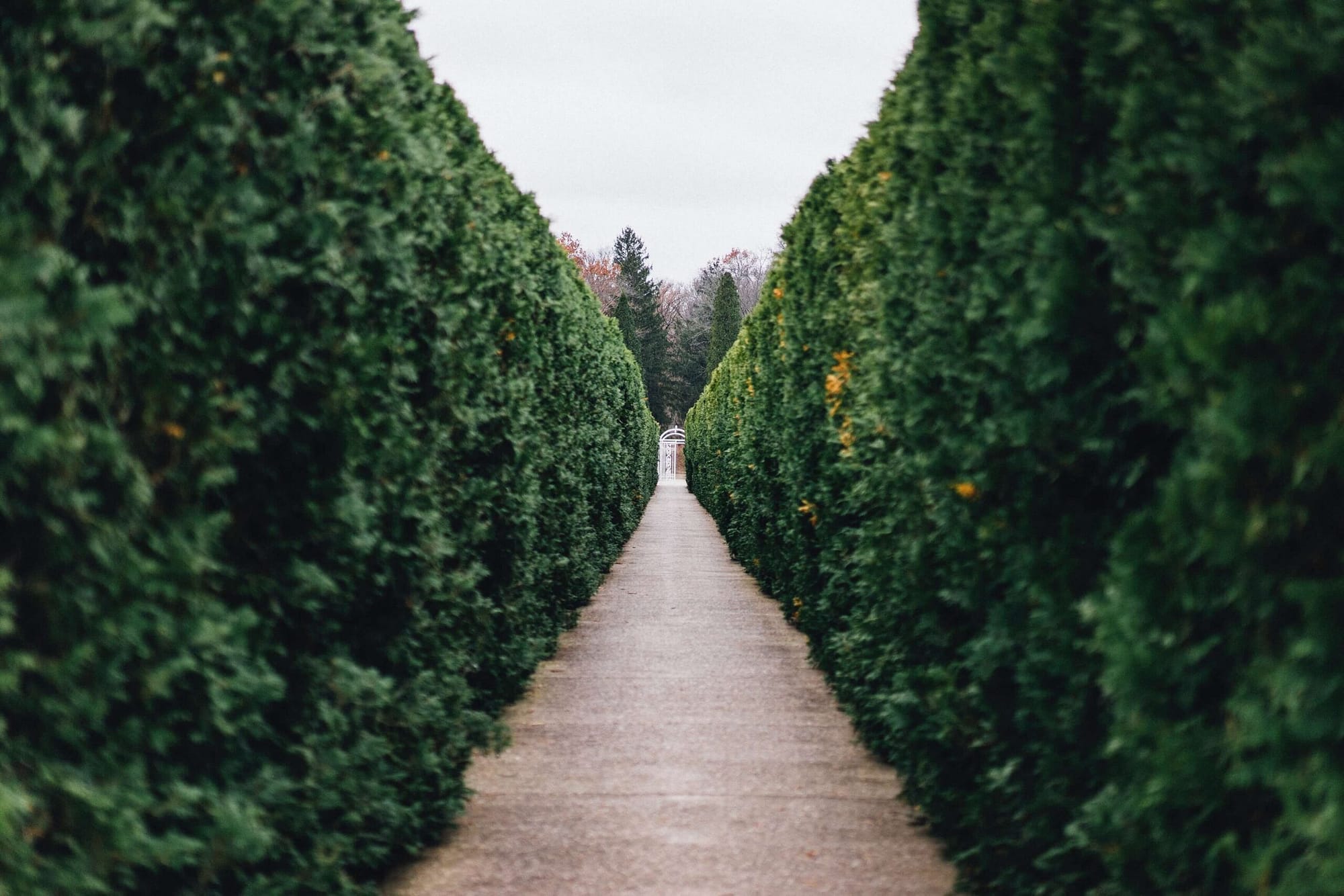 mental wellness retreat